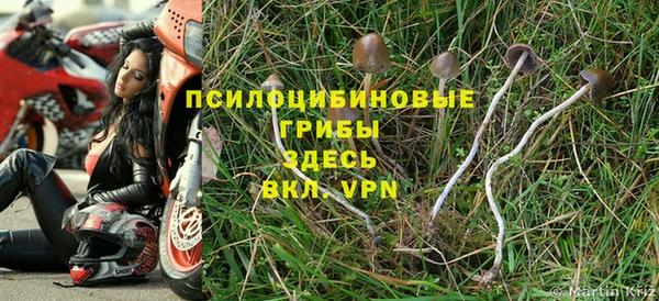 метадон Алексеевка