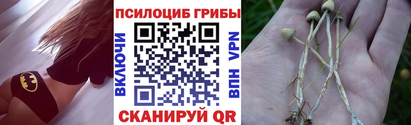 Галлюциногенные грибы Psilocybine cubensis  Владивосток 