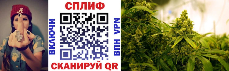 Бошки марихуана семена  Владивосток 